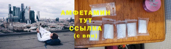 прущий лед Вязьма