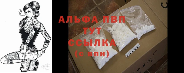 прущий лед Вязьма