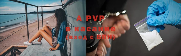 прущий лед Вязьма