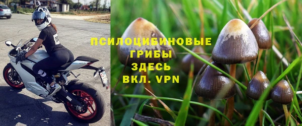 прущий лед Вязьма