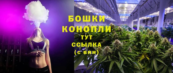 прущий лед Вязьма